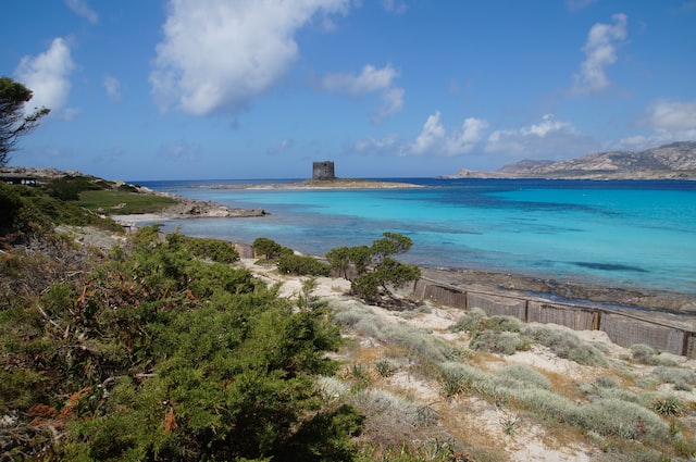 La Pelosa Ss Le Spiagge Pi Belle Della Sardegna Funfacts It